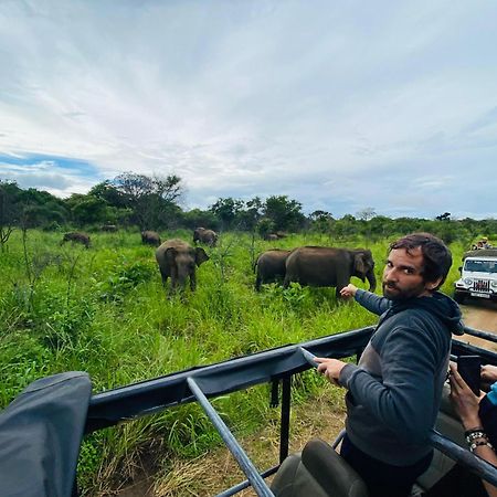 Minneriya Jeep Safari هاباران المظهر الخارجي الصورة